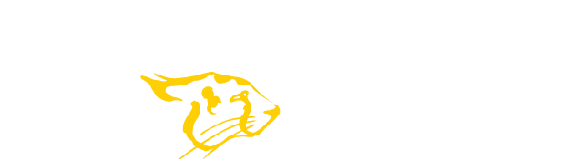Cheetah Gym  Logo